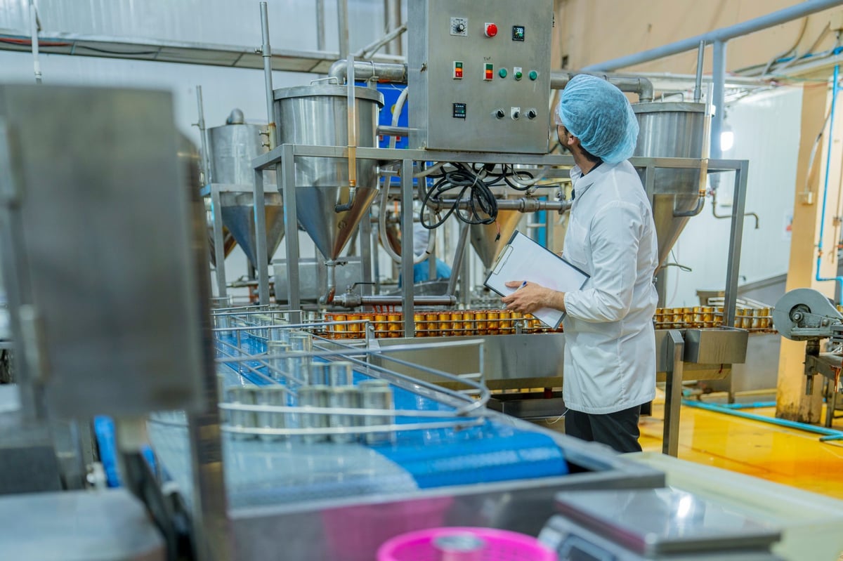 A factory worker inspects advanced machinery in a modern food production facility, ensuring seamless operations and compliance with hygiene and safety standards for efficient manufacturing processes