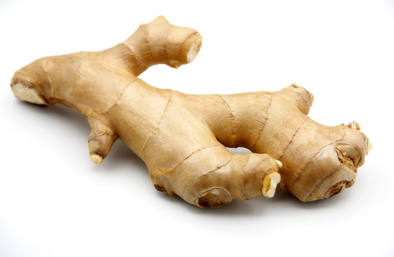 Fresh ginger root for bulk supply