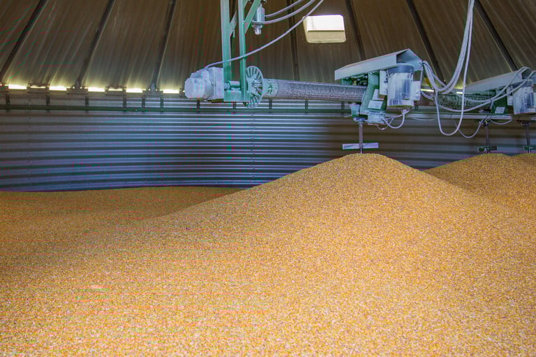 Grain bin full of corn industrial storage